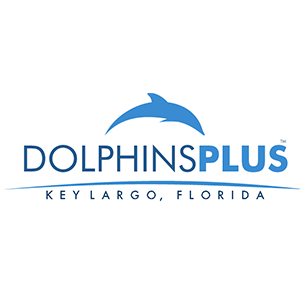 Dolphin Plus